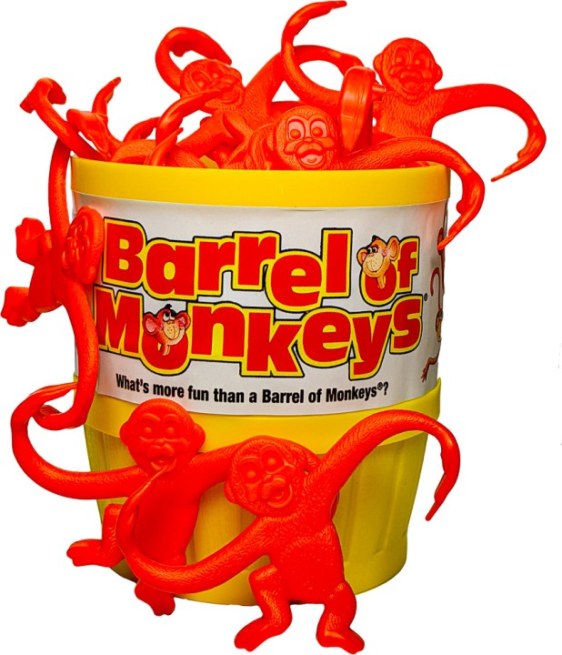 Letters to my 22 year-old self – Part IX – “Managing your Monkeys”